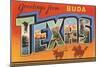 Greetings from Buda, Texas-null-Mounted Art Print