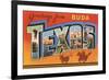 Greetings from Buda, Texas-null-Framed Premium Giclee Print