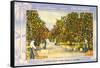 Greetings from California, Orange Grove-null-Framed Stretched Canvas