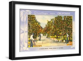 Greetings from California, Orange Grove-null-Framed Art Print