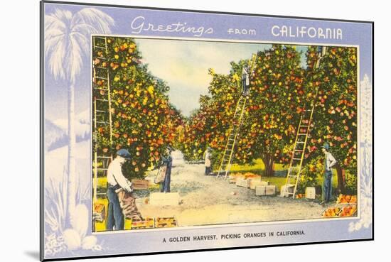 Greetings from California, Orange Grove-null-Mounted Art Print