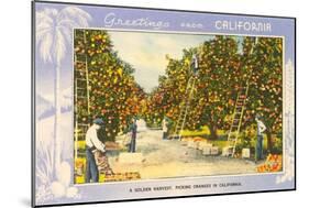 Greetings from California, Orange Grove-null-Mounted Art Print