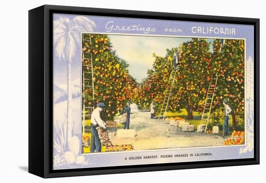 Greetings from California, Orange Grove-null-Framed Stretched Canvas