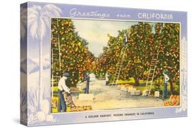 Greetings from California, Orange Grove-null-Stretched Canvas