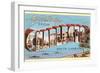 Greetings from Charleston, South Carolina-null-Framed Art Print