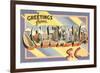 Greetings from Columbia, South Carolina-null-Framed Premium Giclee Print
