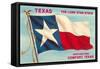 Greetings from Comfort, Texas-null-Framed Stretched Canvas