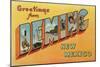 Greetings from Deming, New Mexico-null-Mounted Art Print