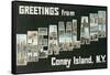 Greetings from Dreamland, Coney Island, New York-null-Framed Stretched Canvas
