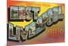 Greetings from East Liverpool, Ohio-null-Mounted Premium Giclee Print