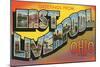 Greetings from East Liverpool, Ohio-null-Mounted Art Print