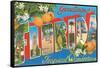Greetings from Florida, Tropical Wonderland-null-Framed Stretched Canvas