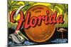 Greetings from Florida-null-Mounted Art Print