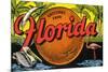 Greetings from Florida-null-Mounted Art Print