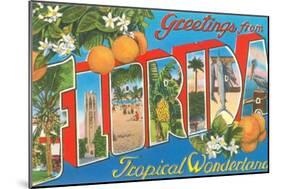 Greetings from Florida-null-Mounted Art Print