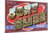 Greetings from Fort Bliss, Texas-null-Mounted Premium Giclee Print