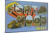 Greetings from Fort Hood, Texas-null-Mounted Art Print