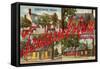 Greetings from Fredericksburg, Virginia-null-Framed Stretched Canvas