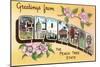 Greetings from Georgia, the Peach Tree State-null-Mounted Giclee Print