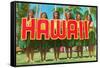 Greetings from Hawaii-null-Framed Stretched Canvas