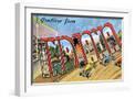White Frame