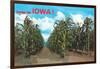 Greetings from Iowa, Corn Field-null-Framed Art Print