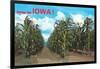 Greetings from Iowa, Corn Field-null-Framed Art Print