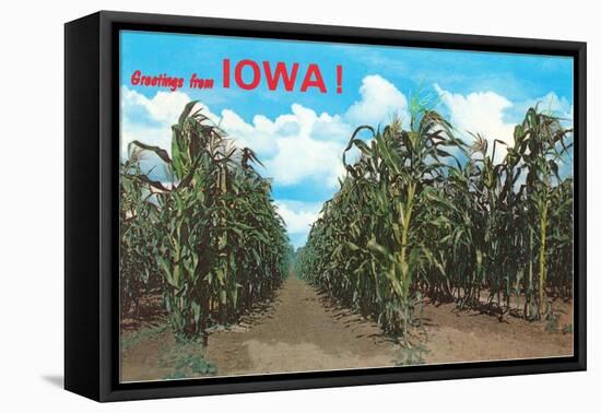 Greetings from Iowa, Corn Field-null-Framed Stretched Canvas