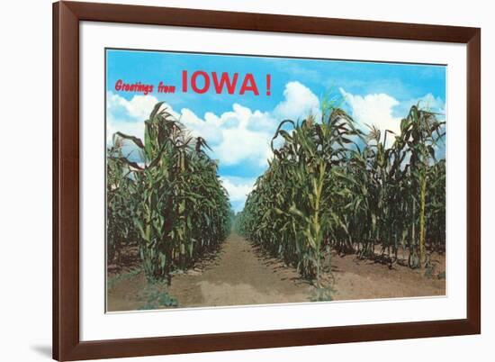 Greetings from Iowa, Corn Field-null-Framed Premium Giclee Print