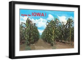 Greetings from Iowa, Corn Field-null-Framed Art Print