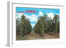 Greetings from Iowa, Corn Field-null-Framed Art Print