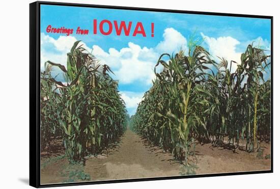 Greetings from Iowa, Corn Field-null-Framed Stretched Canvas