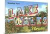 Greetings from Lake Wales, Florida-null-Mounted Premium Giclee Print