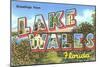 Greetings from Lake Wales, Florida-null-Mounted Art Print