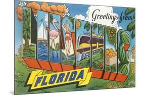 Greetings from Leesburg, Florida-null-Mounted Premium Giclee Print