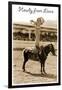 Greetings from Llano, Texas, Girl on Pony-null-Framed Art Print