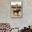 Greetings from Llano, Texas, Girl on Pony-null-Framed Stretched Canvas displayed on a wall