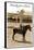 Greetings from Llano, Texas, Girl on Pony-null-Framed Stretched Canvas