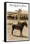 Greetings from Llano, Texas, Girl on Pony-null-Framed Stretched Canvas