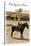 Greetings from Llano, Texas, Girl on Pony-null-Stretched Canvas