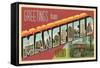 Greetings from Mansfield, Ohio-null-Framed Stretched Canvas