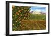 Greetings from Mission Viejo, California-null-Framed Art Print