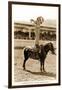 Greetings from Montana, Little Girl Roping on Pony-null-Framed Art Print