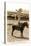Greetings from Montana, Little Girl Roping on Pony-null-Stretched Canvas