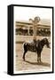 Greetings from Montana, Little Girl Roping on Pony-null-Framed Stretched Canvas