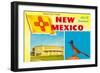 Greetings from New Mexico, Roadrunner and Roundhouse-null-Framed Art Print