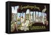 Greetings from New Orleans, Louisiana-null-Framed Stretched Canvas