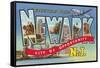 Greetings from Newark, New Jersey-null-Framed Stretched Canvas