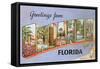 Greetings from Orlando, Florida-null-Framed Stretched Canvas