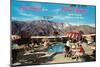 Greetings from Palm Springs-null-Mounted Art Print